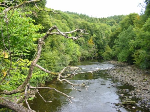 Chatelheraut Country Park