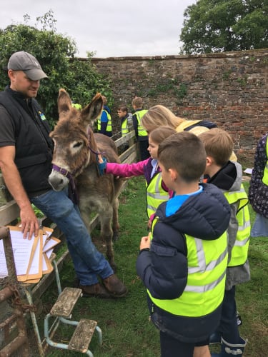The Beeches Farm (Simple Sounds)