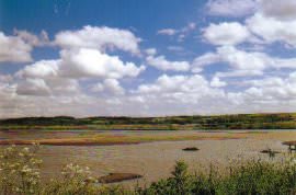 Titchwell Marsh