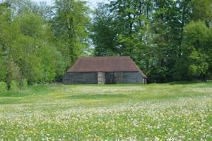 Gilbert White Field Studies Centre