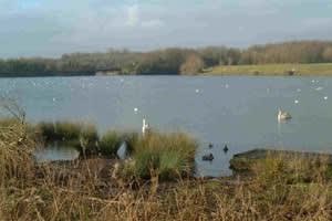 Cosmeston Lakes Country Park