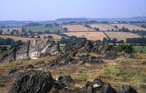 Beacon Hill Country Park