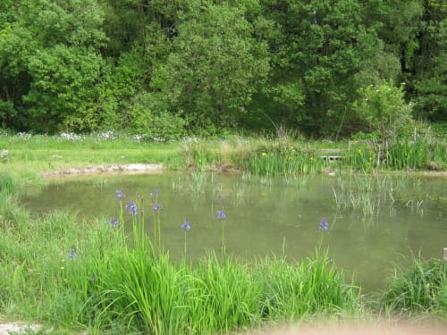 FSC Amersham Field Centre