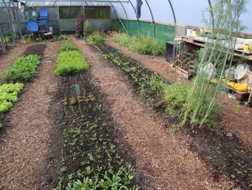 Greenslate Community Farm