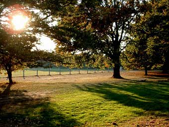 Alyn Waters Country Park