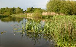 Wolseley Education Centre