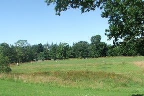 Calderglen Country Park