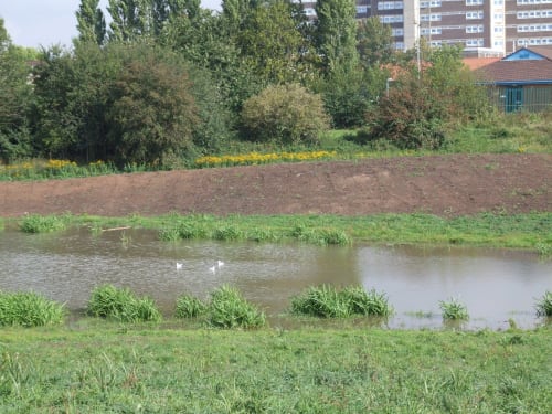 Tees Valley Wildlife Trust - Hardwick Dene