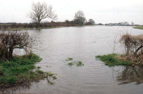 Acorn Farm