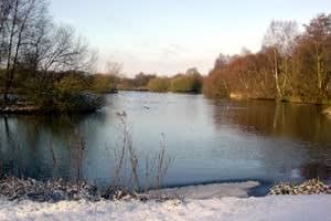 Wantisden Hall Farm