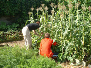 Weybeards Farm