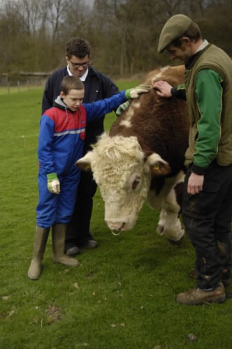 Tickwood Care Farm