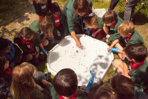 College Lake Environmental Education Centre