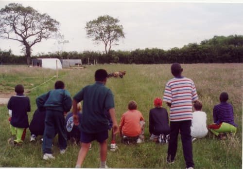 Clynfyw Care Farm