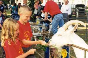 St James City Farm