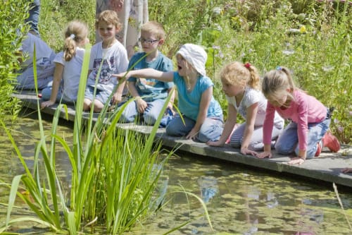 Widehorizons Environment Centre