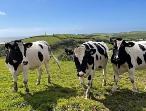 North Hole Farm