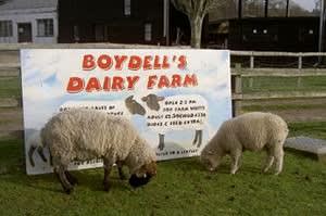 Boydells Dairy Farm