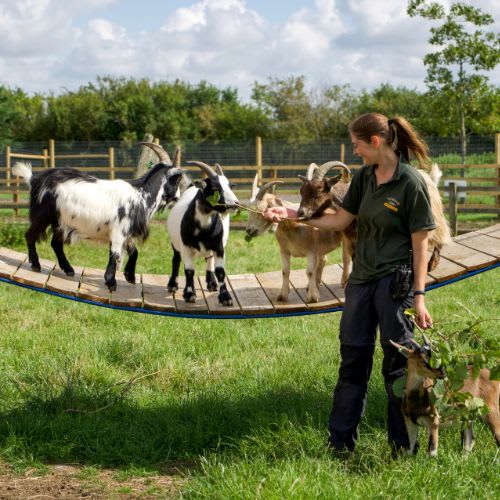 Hogshaw Farm & Wildlife Park