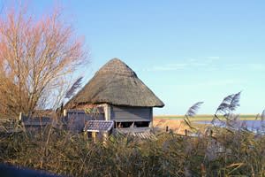 Norfolk Wildlife Trust