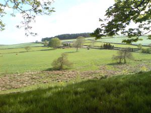 Lane Head Farm