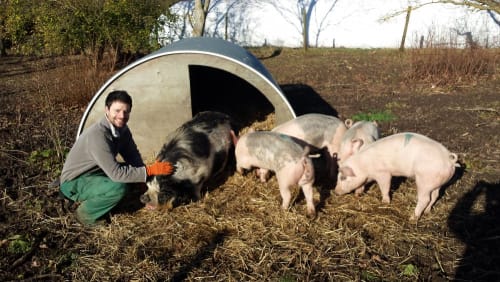 Rushall Organic Farm - John Simonds Trust