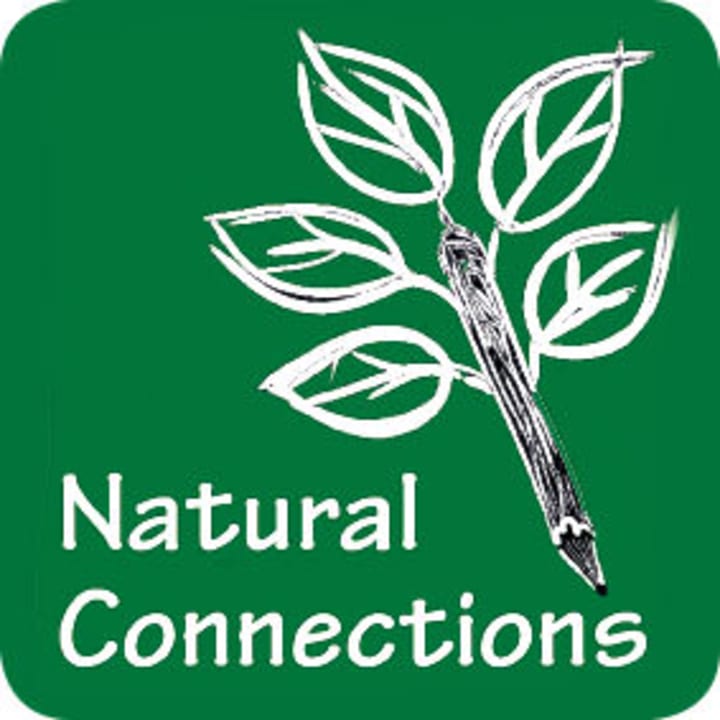 Natural Connections Consultancy