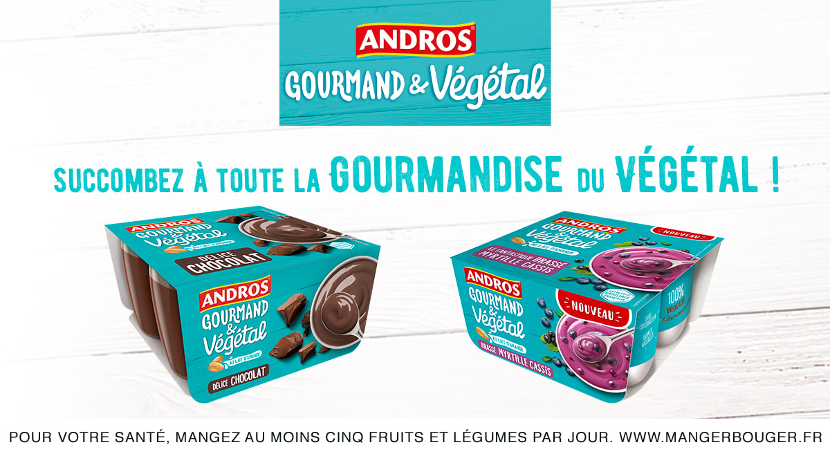 Dessert végétal Mousse au chocolat au lait de coco – Andros