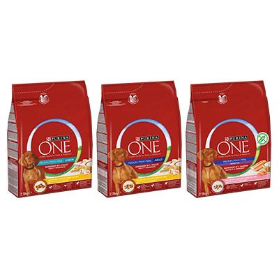 Purina ONE® - MEDIUM/MAXI 1,10 € DE RÉDUCTION