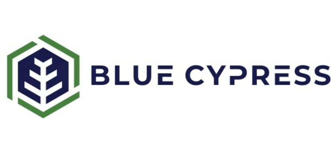 Blue Cypress