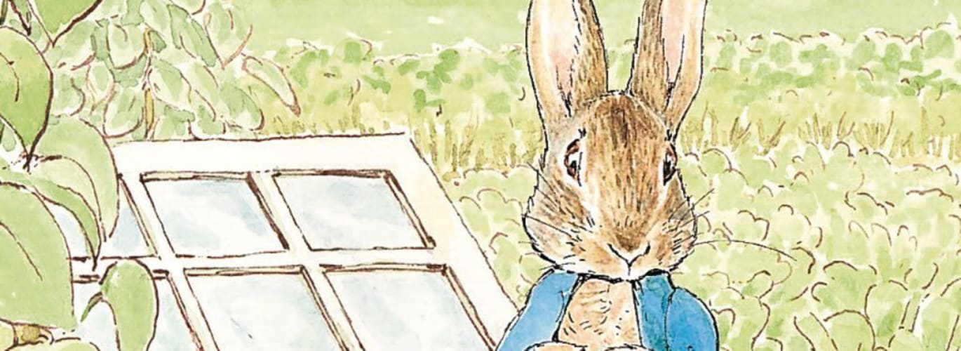 Peter Rabbit Wallpapers  Top Free Peter Rabbit Backgrounds   WallpaperAccess