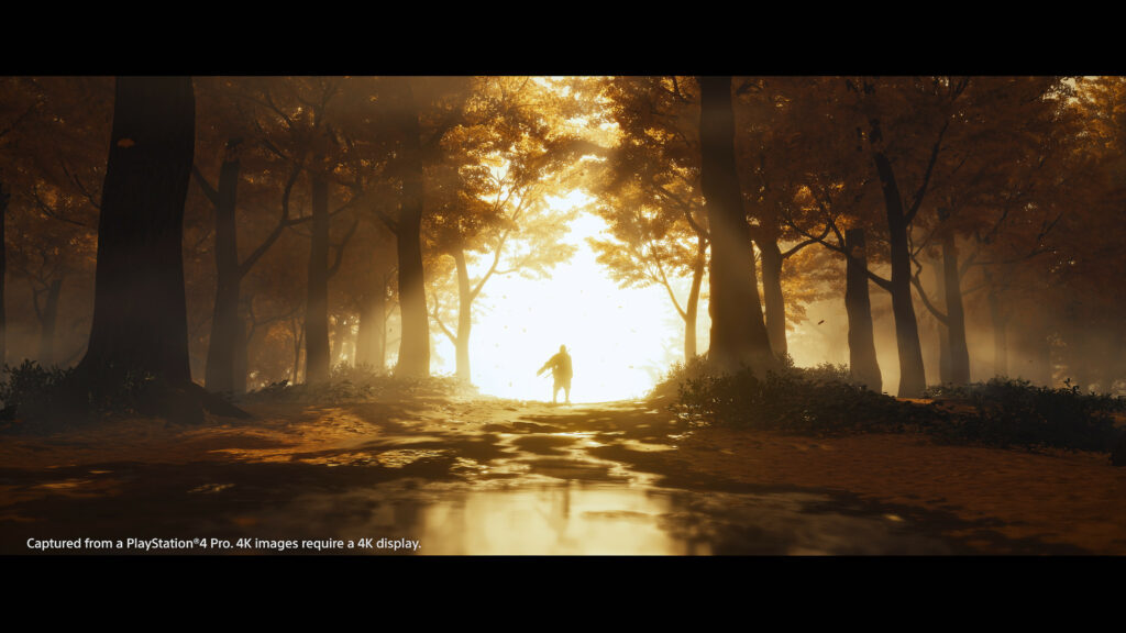Ghost of Tsushima PS4 Theme