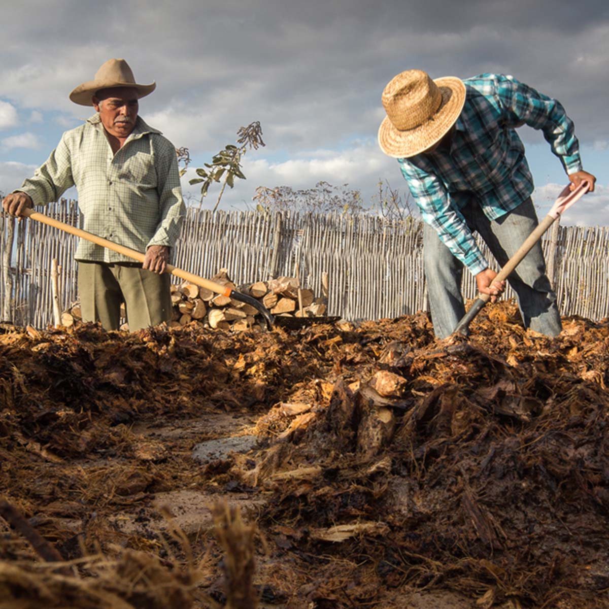 Mezcal wird zumeist rustikaler hergestellt als Tequila