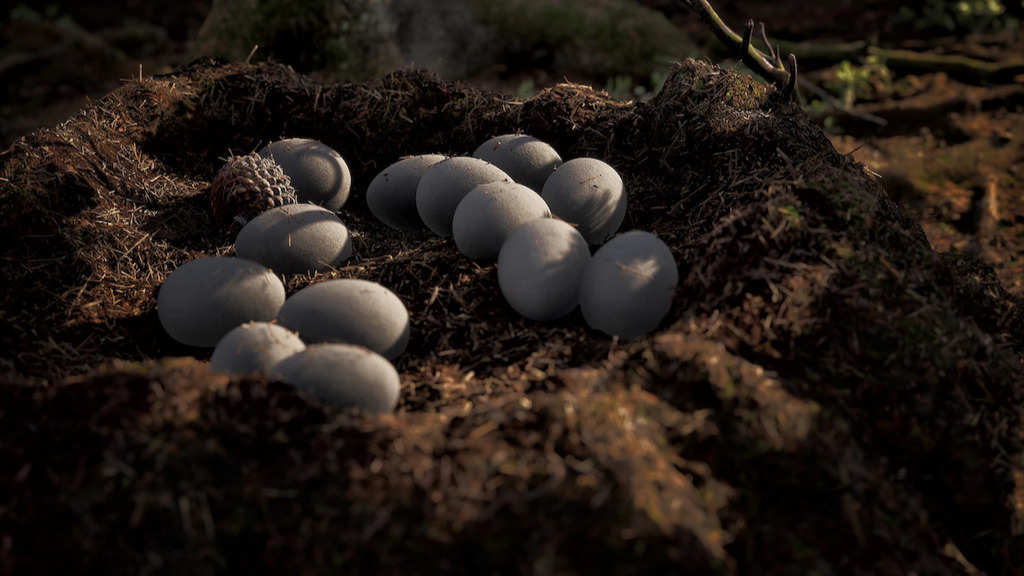 Instinction | Spiele.de