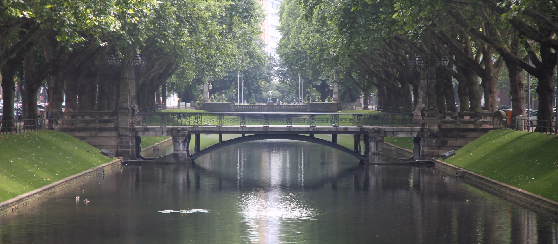 Baumbestandener Kanal mit kleiner Brücke in Düsseldorf