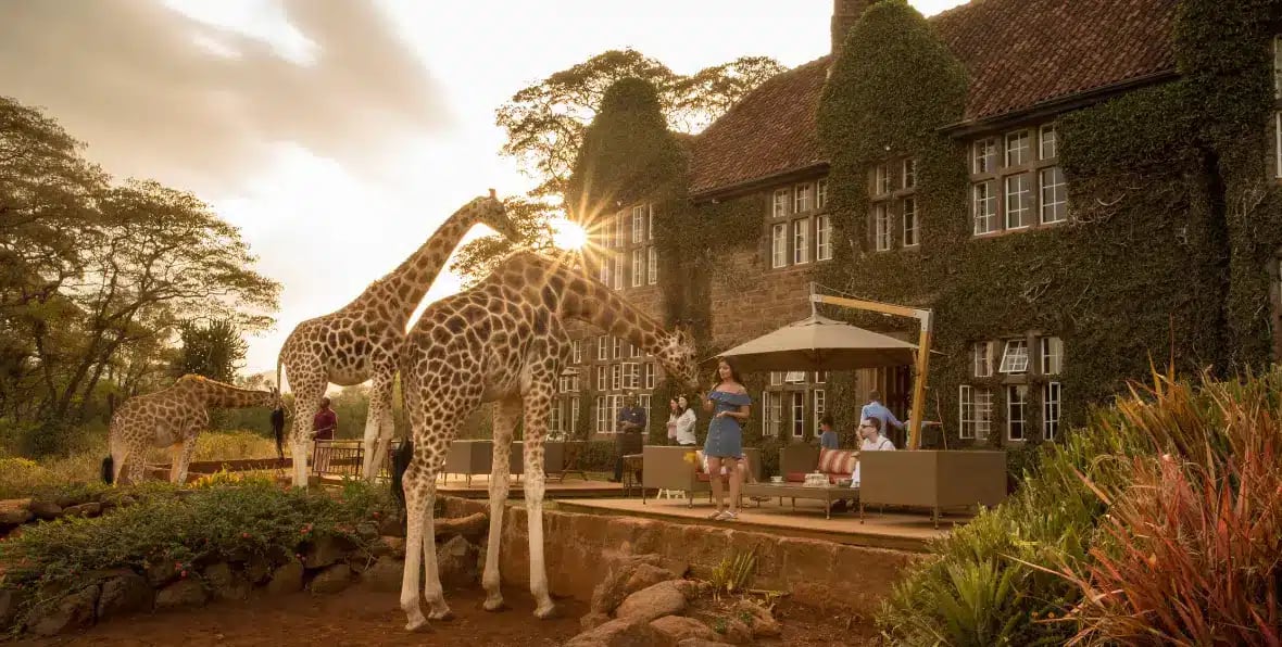 Giraffe Manor 4