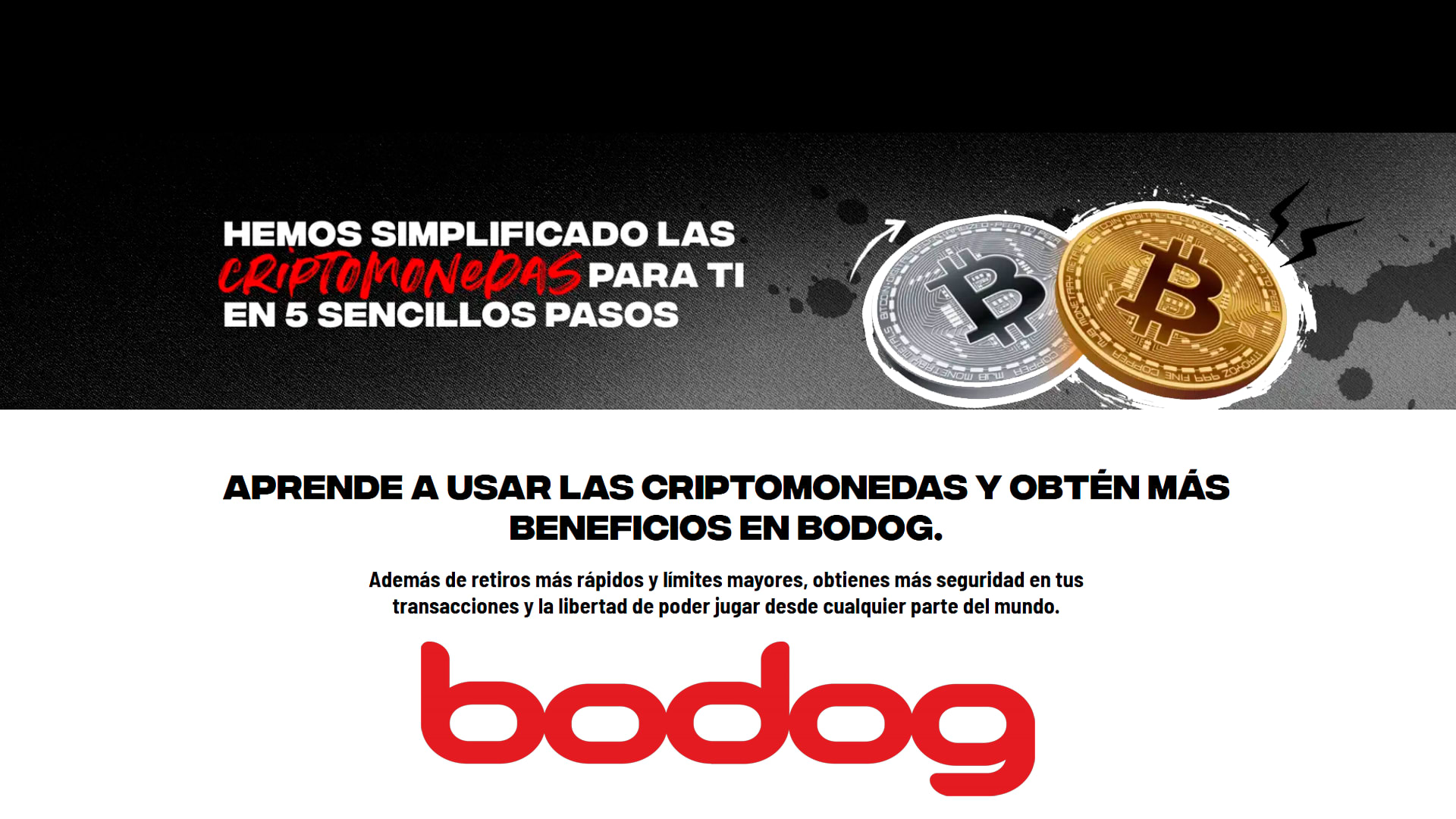 Criptomonedas en Bodog: rapidez, seguridad y libertad para jugar poker