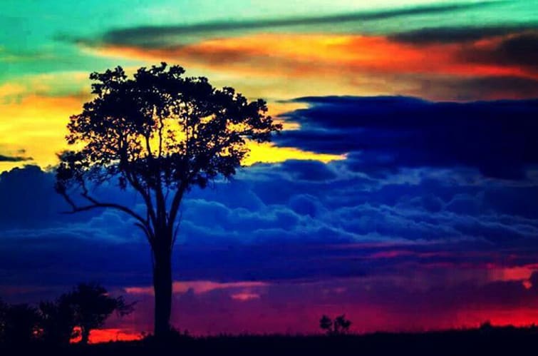 Colombia se mantiene bien arriba en los torneos 4,40