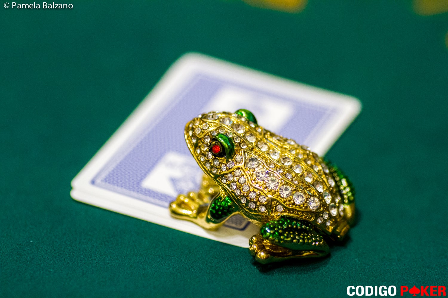 Las mejores fotos del Peter’s Poker Tour, tomo II