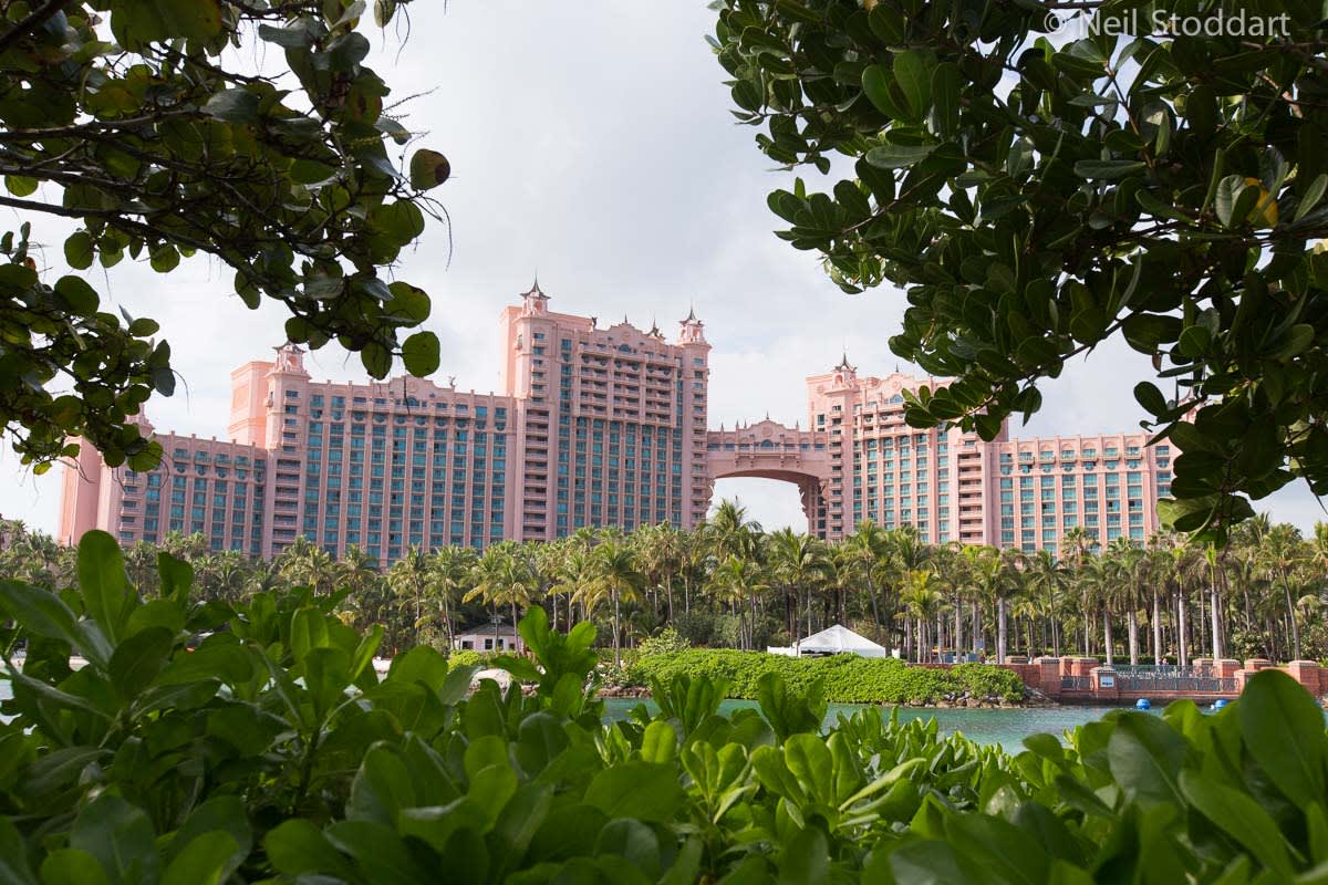 Bienvenidos a Bahamas: es hora de jugar el PCA 2019