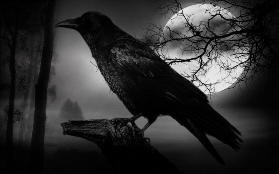 El CuervoRM Balsamo voló alto en el Súper Lunes