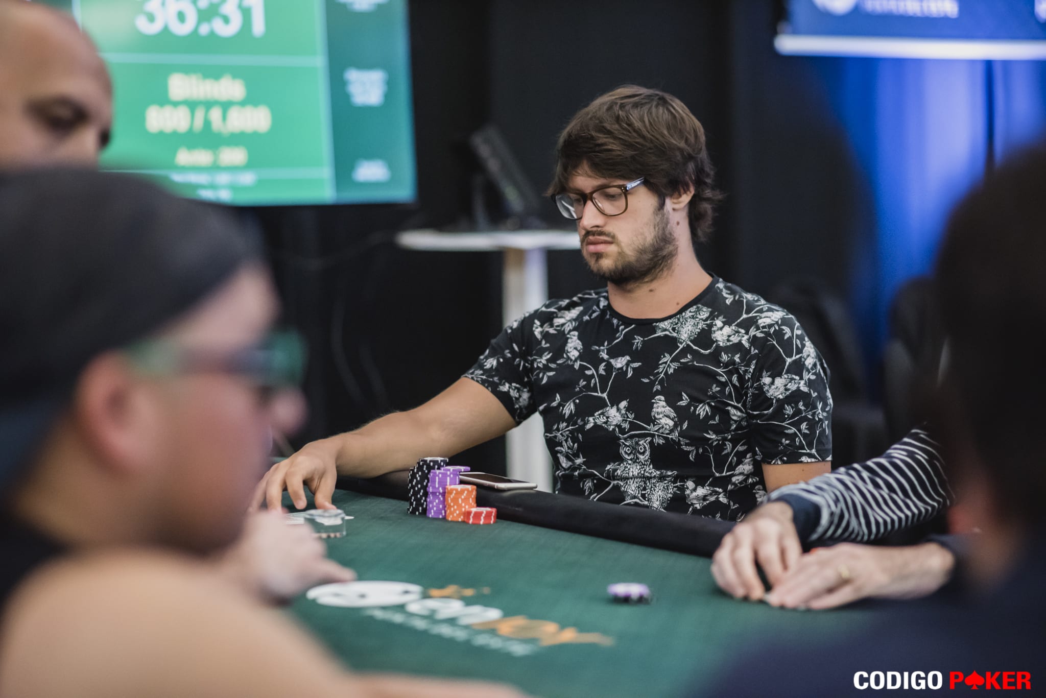 Grinder Report: temporada alta de nuestros tiburones