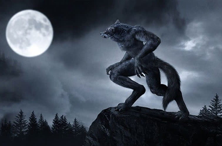 Lobo042 comandó a la tricolor este martes