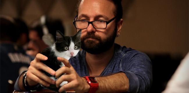 Los celulares fueron reemplazados por gatos en la WSOP