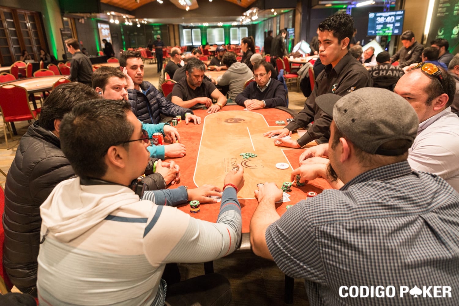 Pasa las penas en el Raider de Viña del Mar