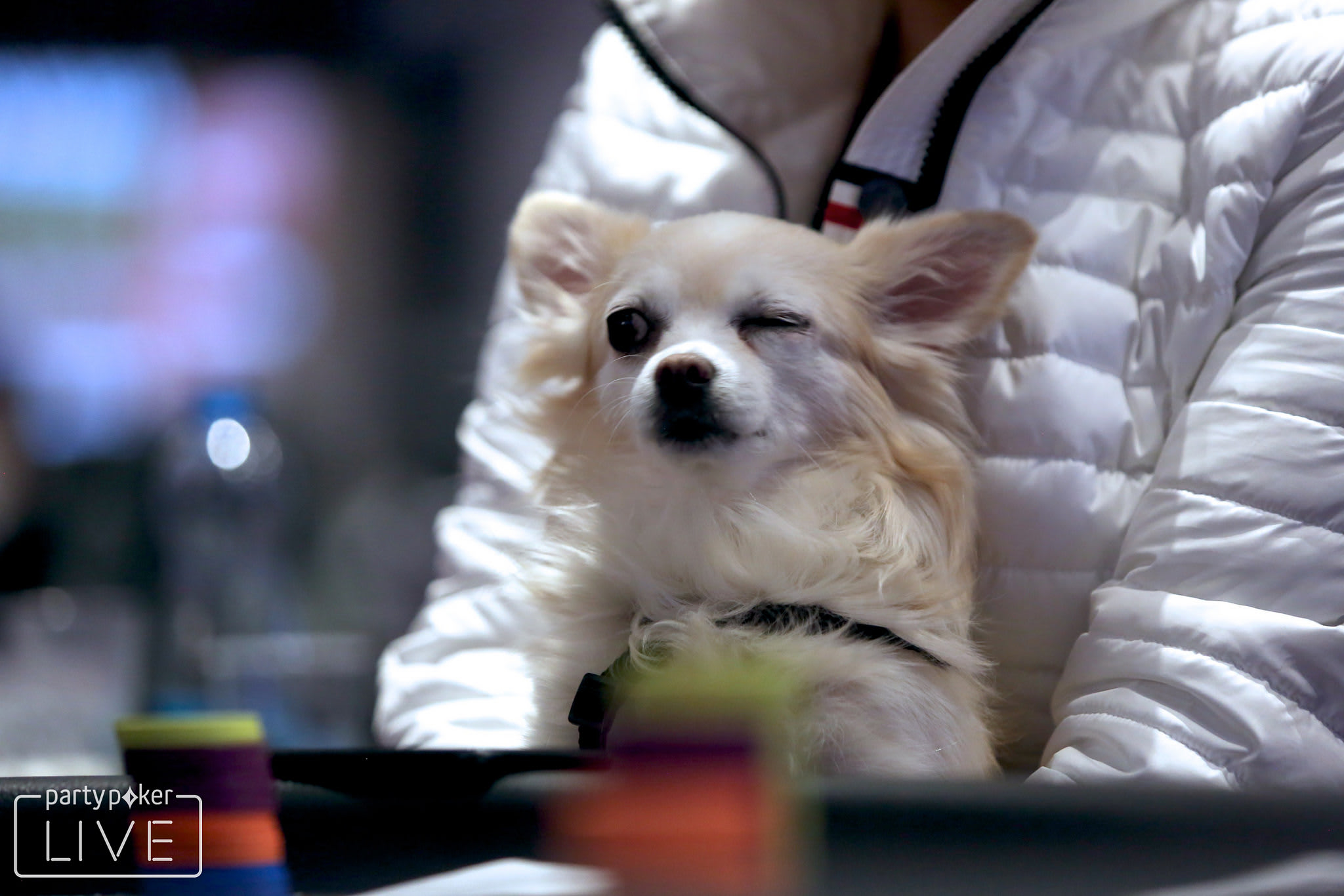 Supersticiones y psicología en el poker