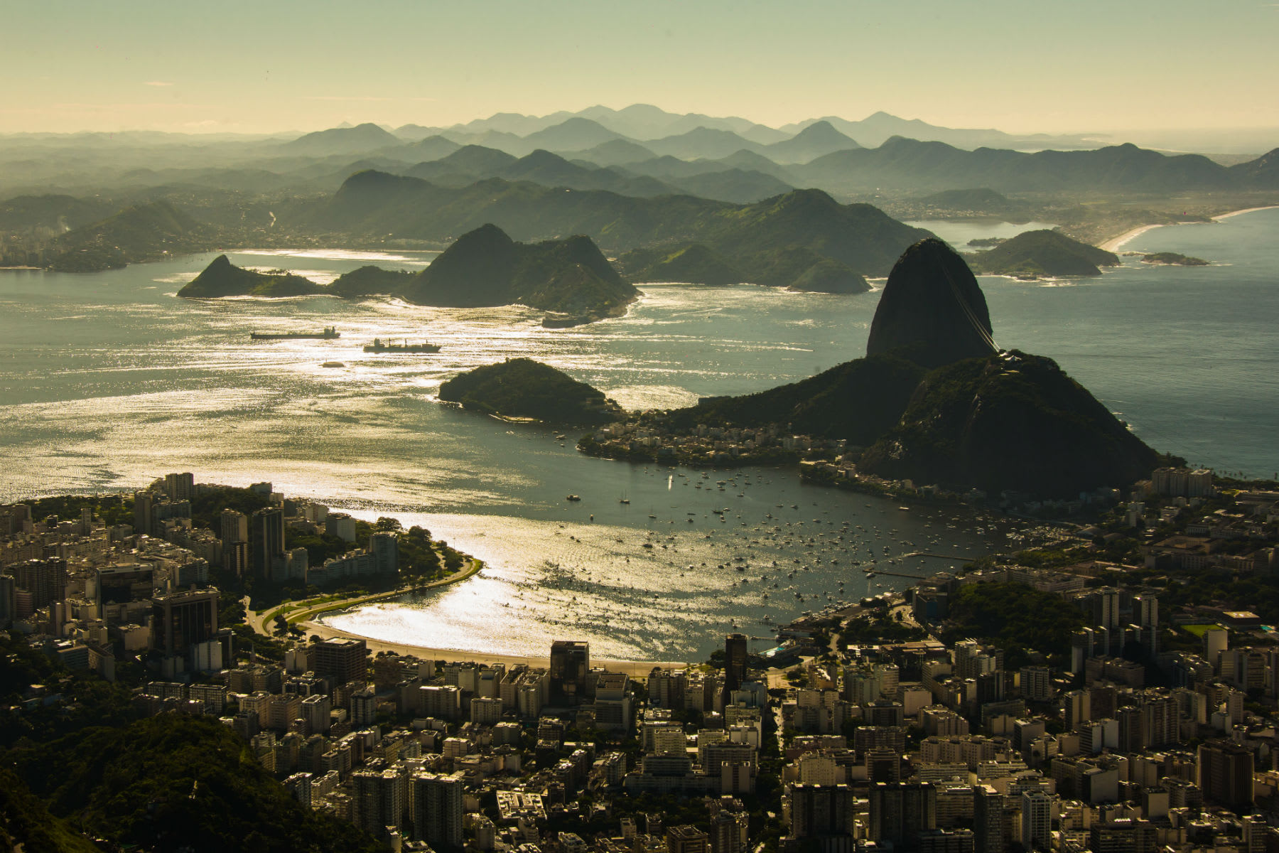 Cómo clasificarse online a la WSOP de Río de Janeiro