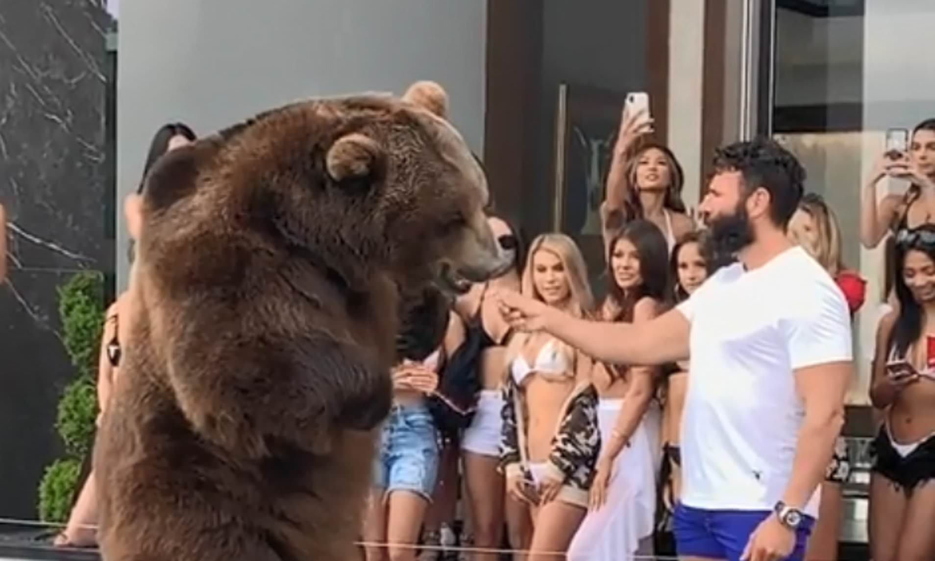 Dan Bilzerian, en un heads-up contra&#8230; ¡un oso!