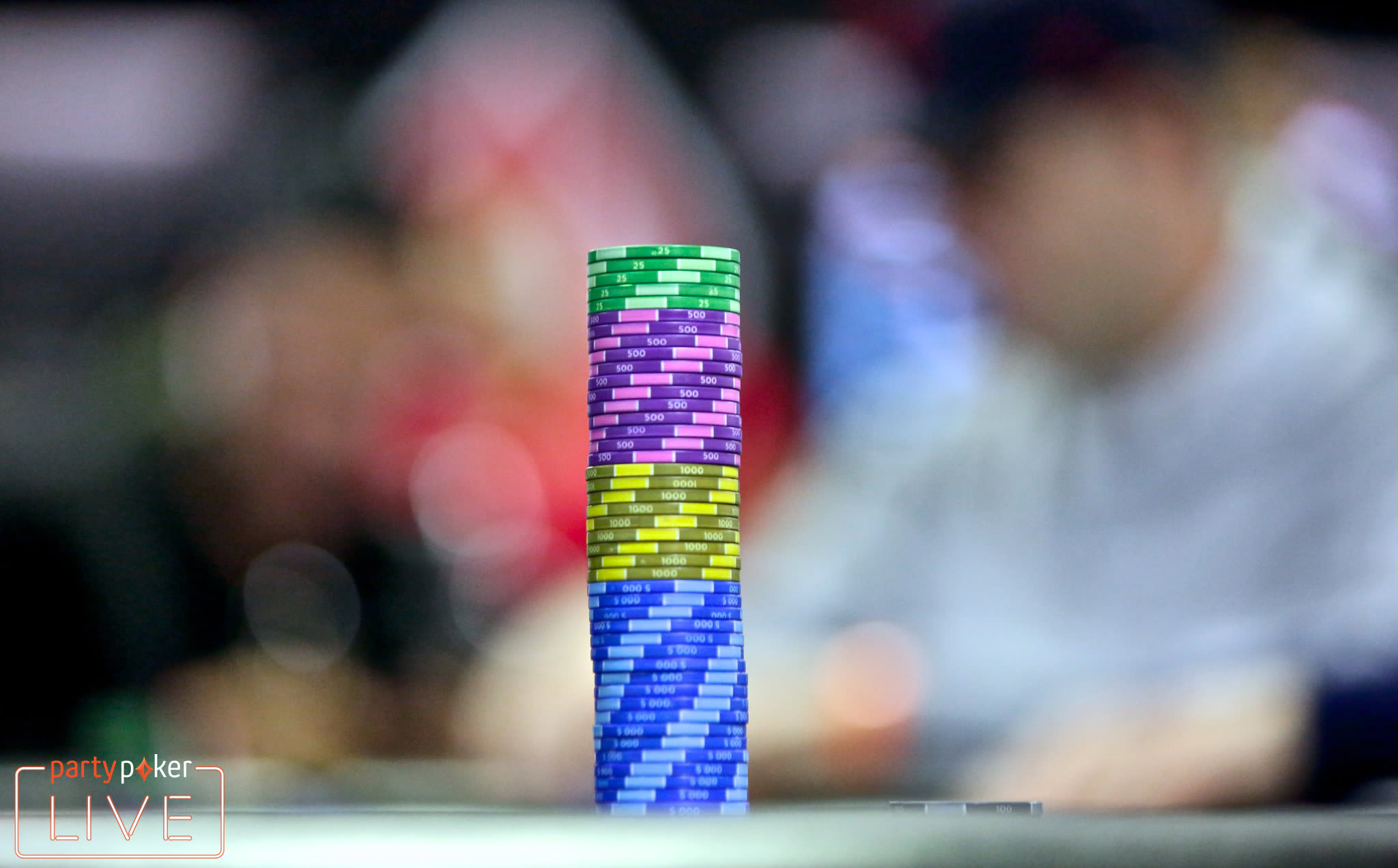 KO Series: arrancando el año con el pie derecho