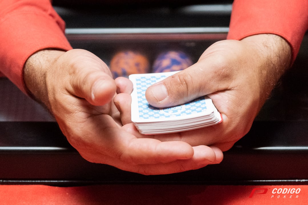 Grinder Report: toda la acción de los paños virtuales